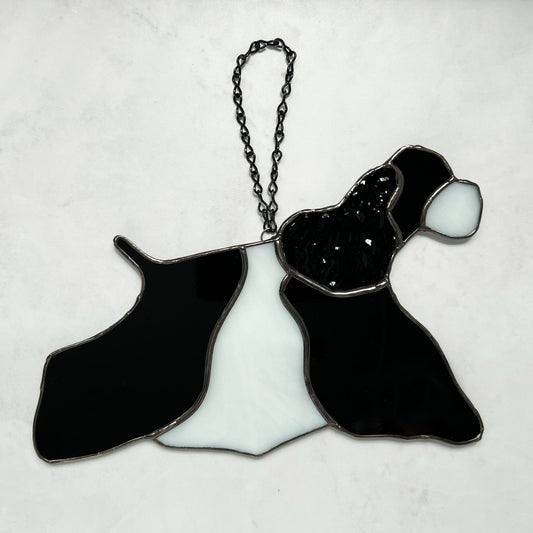 Stained Glass Suncatcher of an American Cocker Spaniel Black and White Parti dog in full competition mode.  The ear is made with a rippled black textured glass making it appear realistic. He is facing to the right.