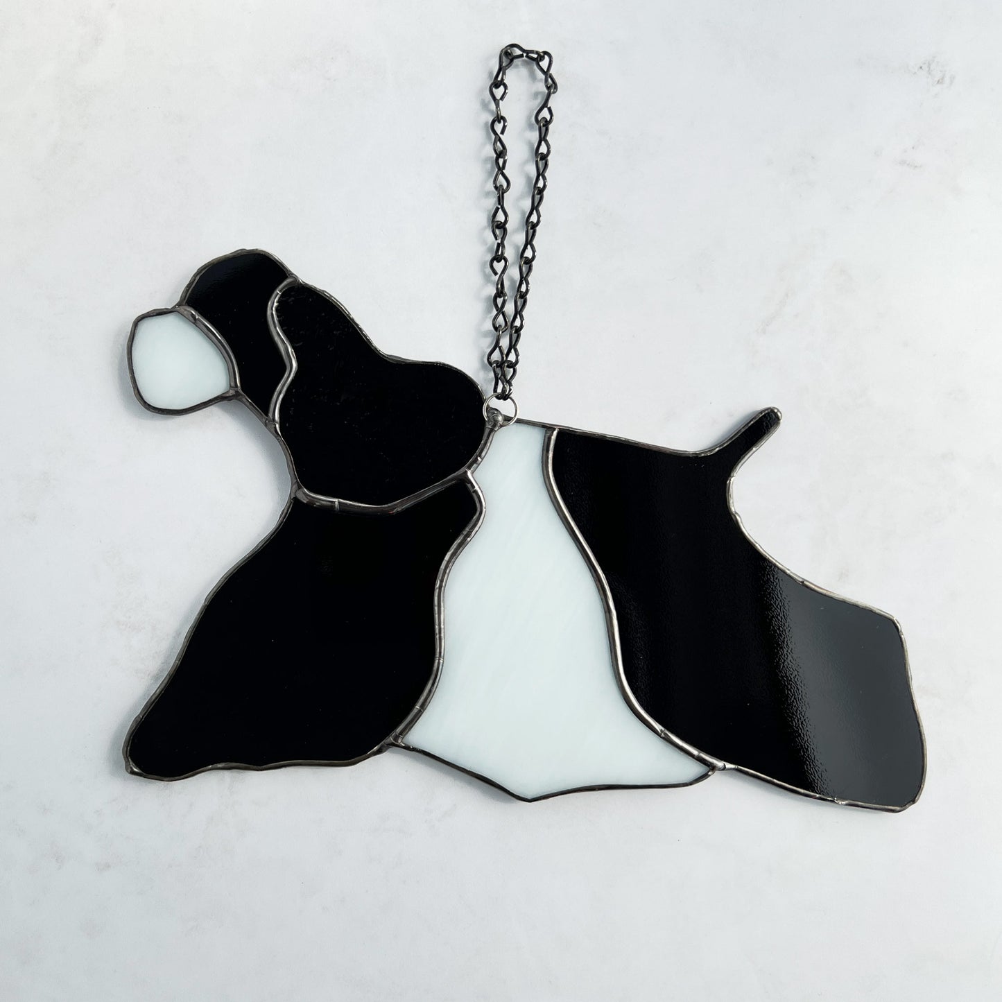 Stained Glass Suncatcher of an American Cocker Spaniel Black and White Parti dog in full competition mode. The ear is made with a rippled black textured glass making it appear realistic. This is the back side of the suncatcher