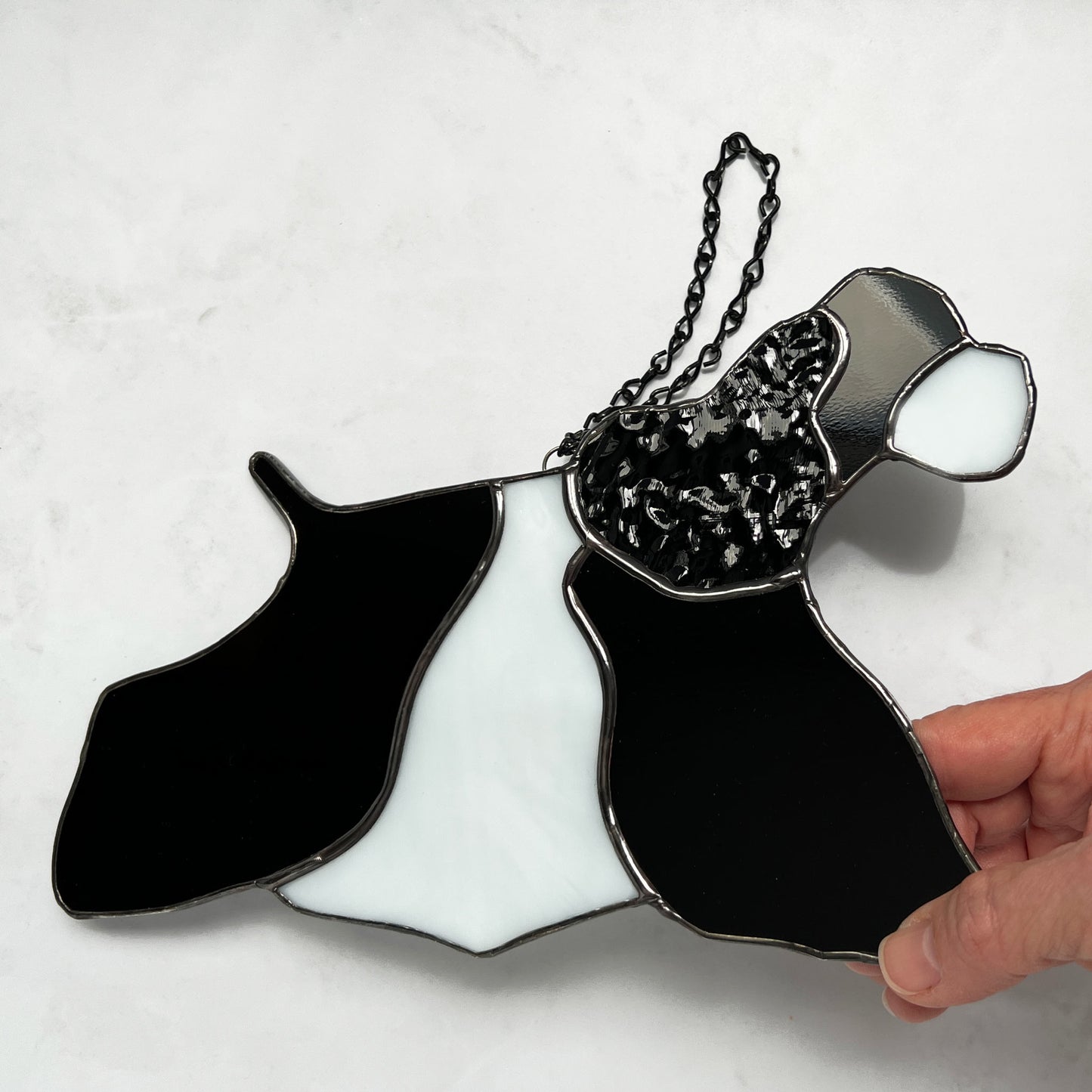 Stained Glass Suncatcher of an American Cocker Spaniel Black and White Parti dog in full competition mode. The ear is made with a rippled black textured glass making it appear realistic. A hand is holding the dog so that you can see the texture of the rippled black glass used for the ear