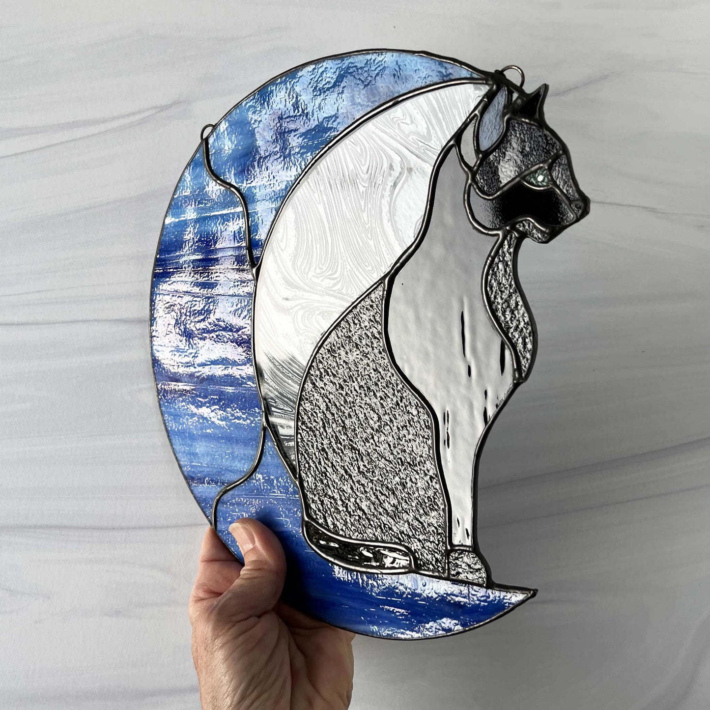 Black Cat on a Blue Moon