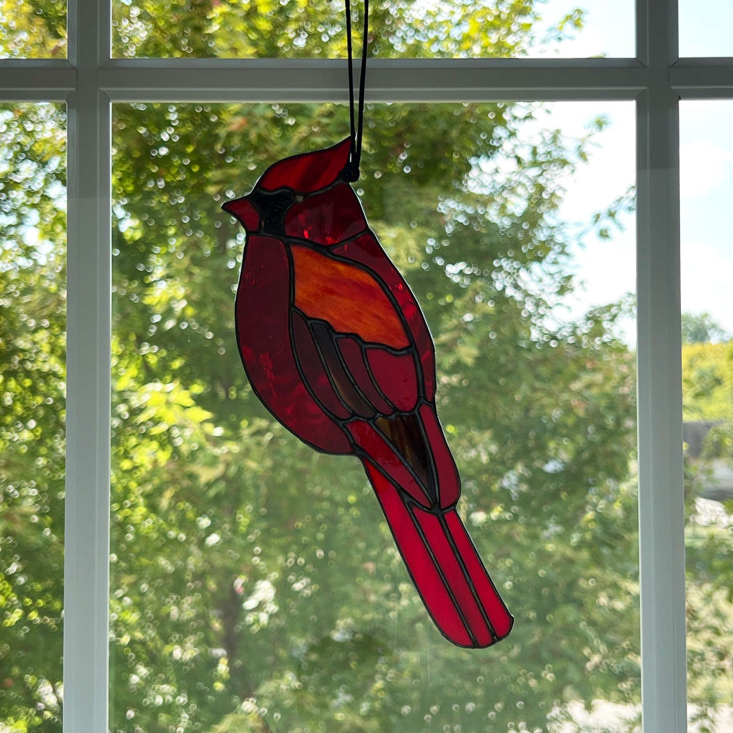 Cardinal Dancing in the light