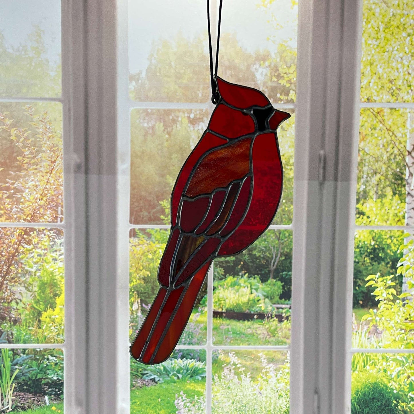 Cardinal Dancing in the light