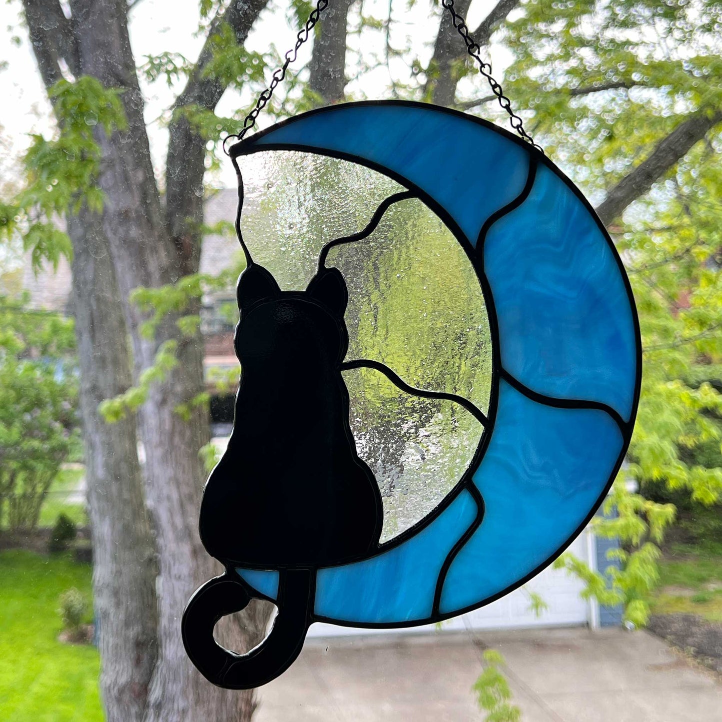 Cat on a Light Blue Moon