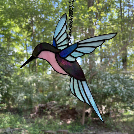 Hummingbird in Iridescent Blue, Purple, and Pink