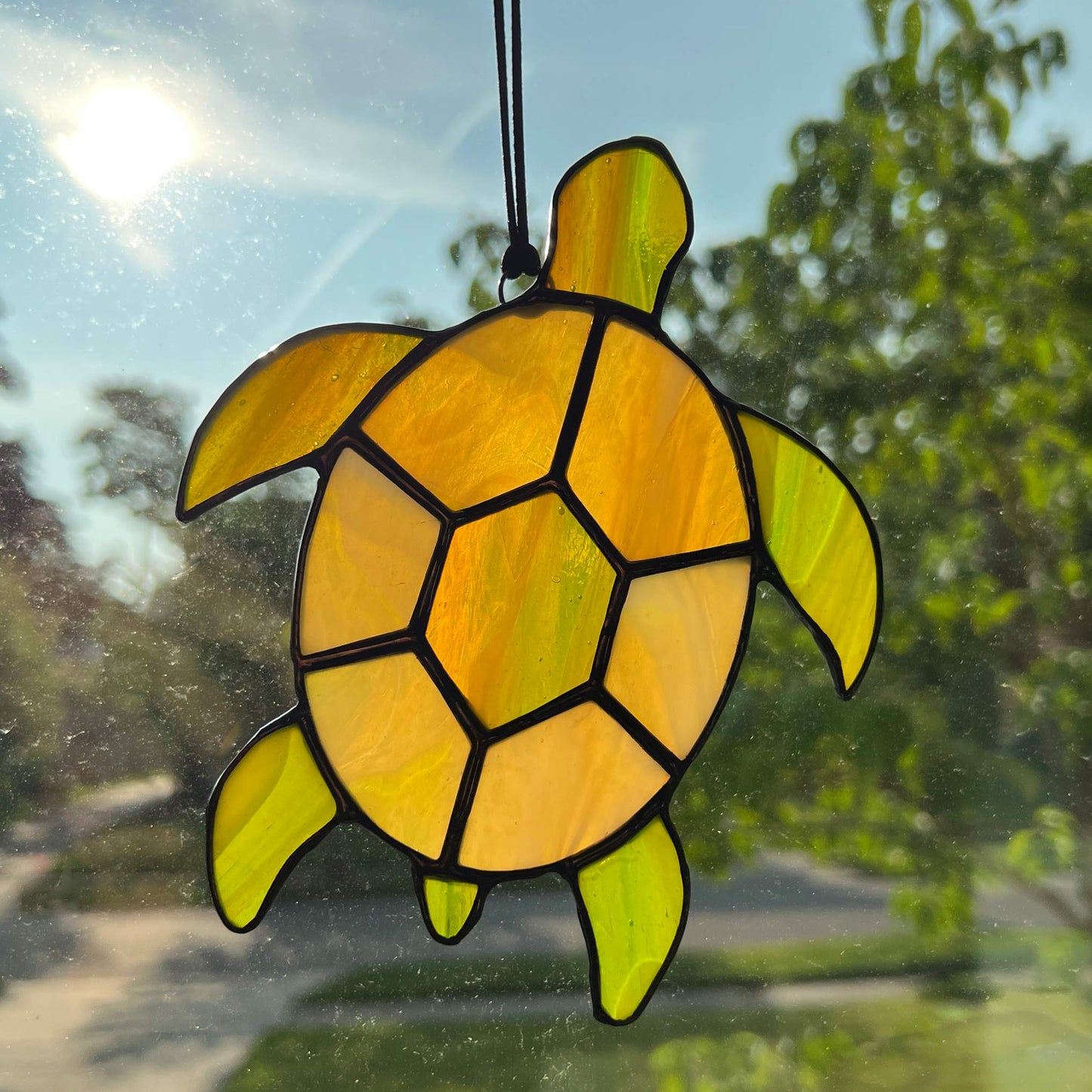 Sea Turtle in Amber and Olive Green (5x6)