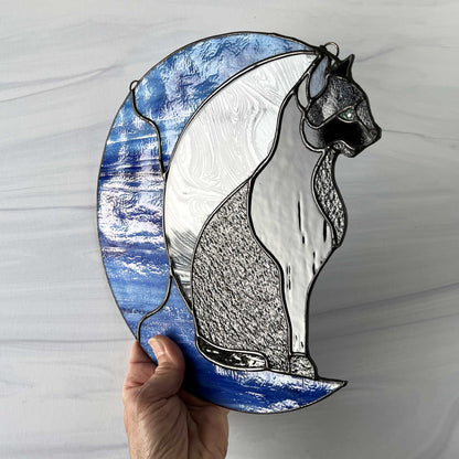 Black Cat on a Blue Moon