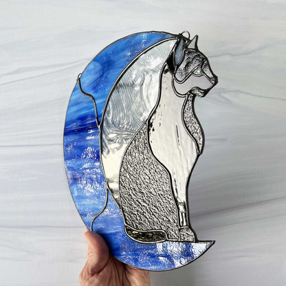 Black Cat on a Blue Moon