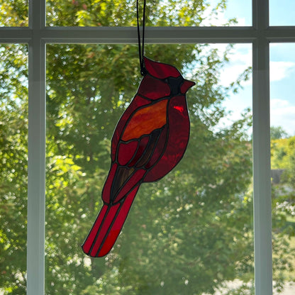 Cardinal Dancing in the light