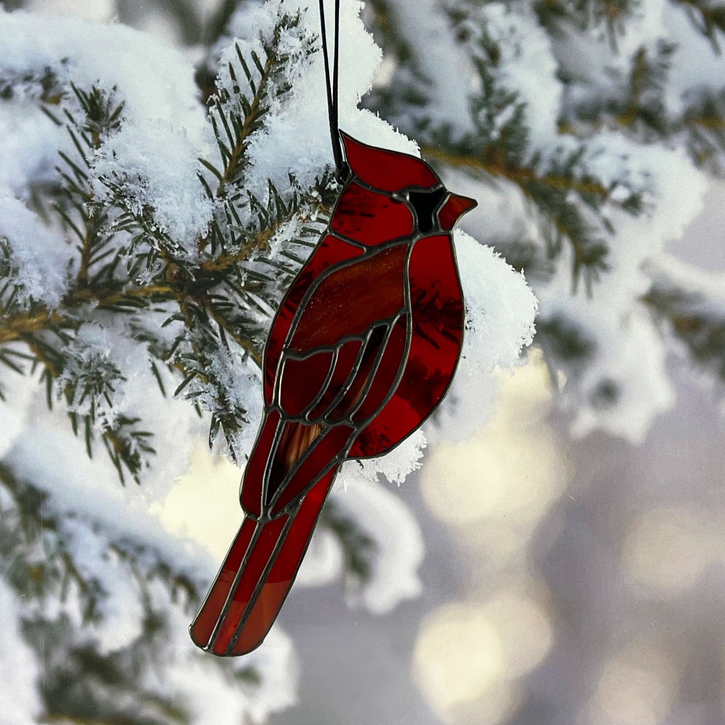 Cardinal Dancing in the light