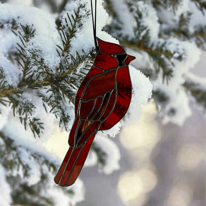 Cardinal Dancing in the light