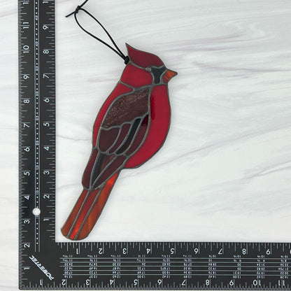 Cardinal Dancing in the light