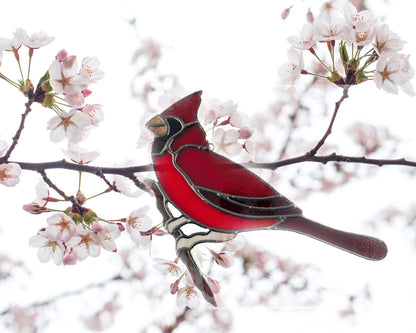 Cardinal Ready to take Flight