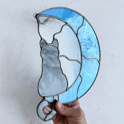 Cat on a Light Blue Moon