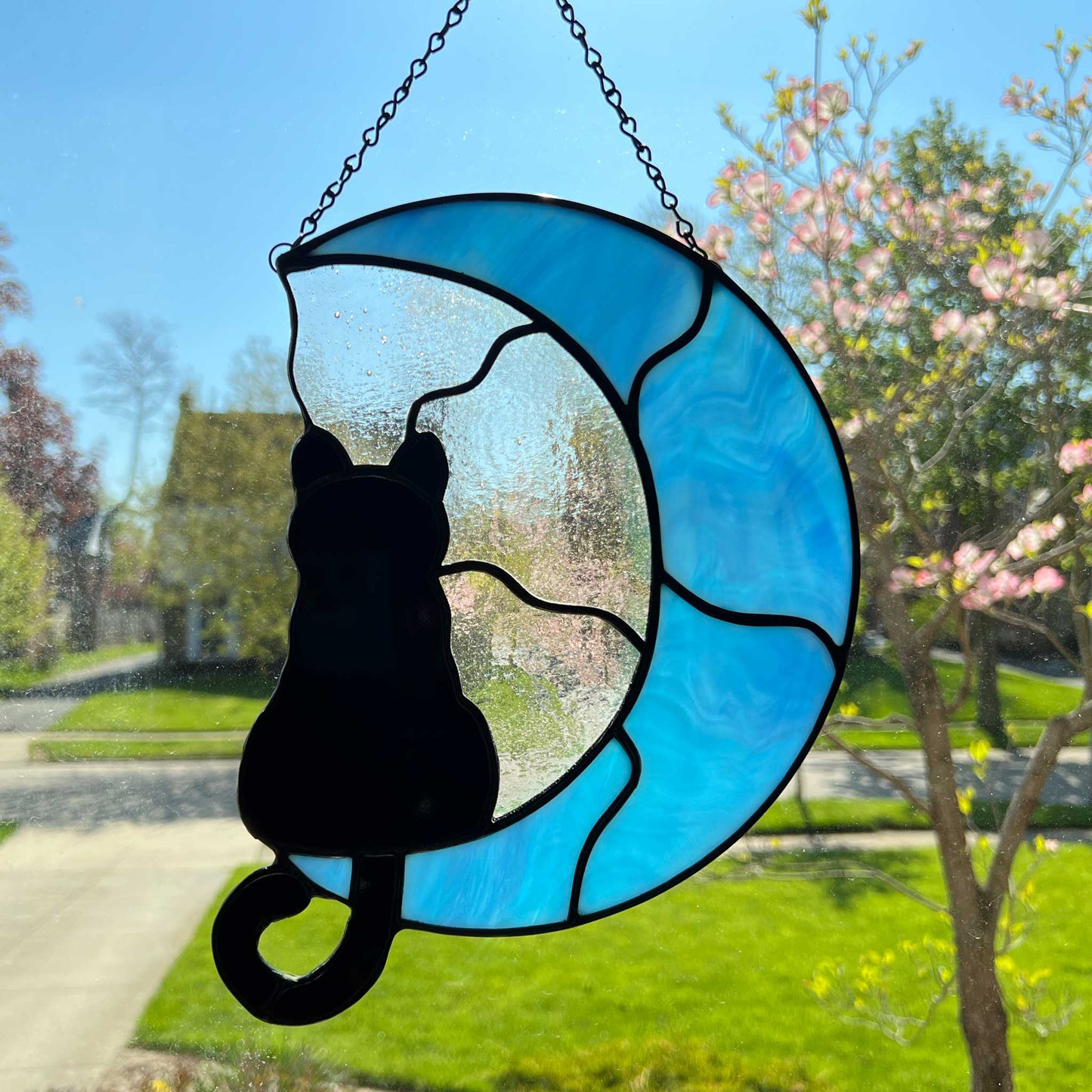 Cat on a Light Blue Moon