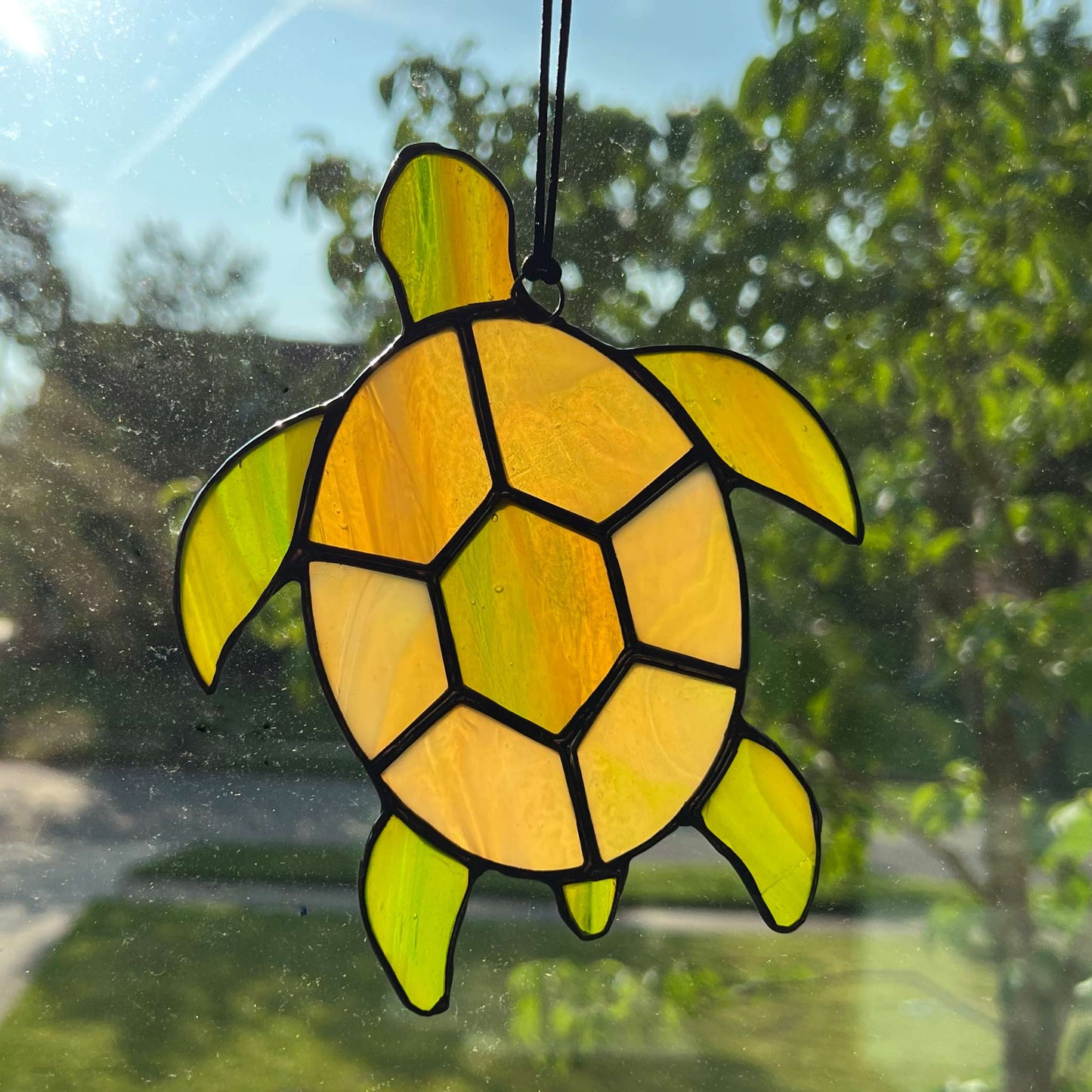 Sea Turtle in Amber and Olive Green (5x6)