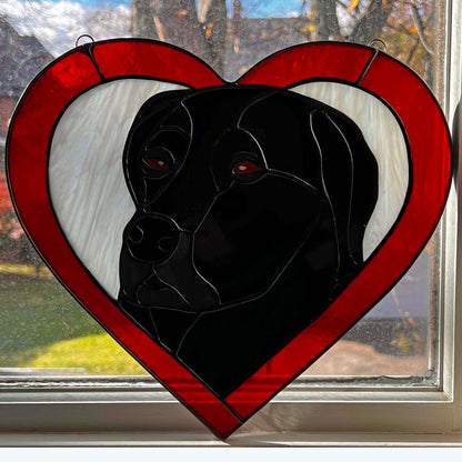 Black Labrador Retriever