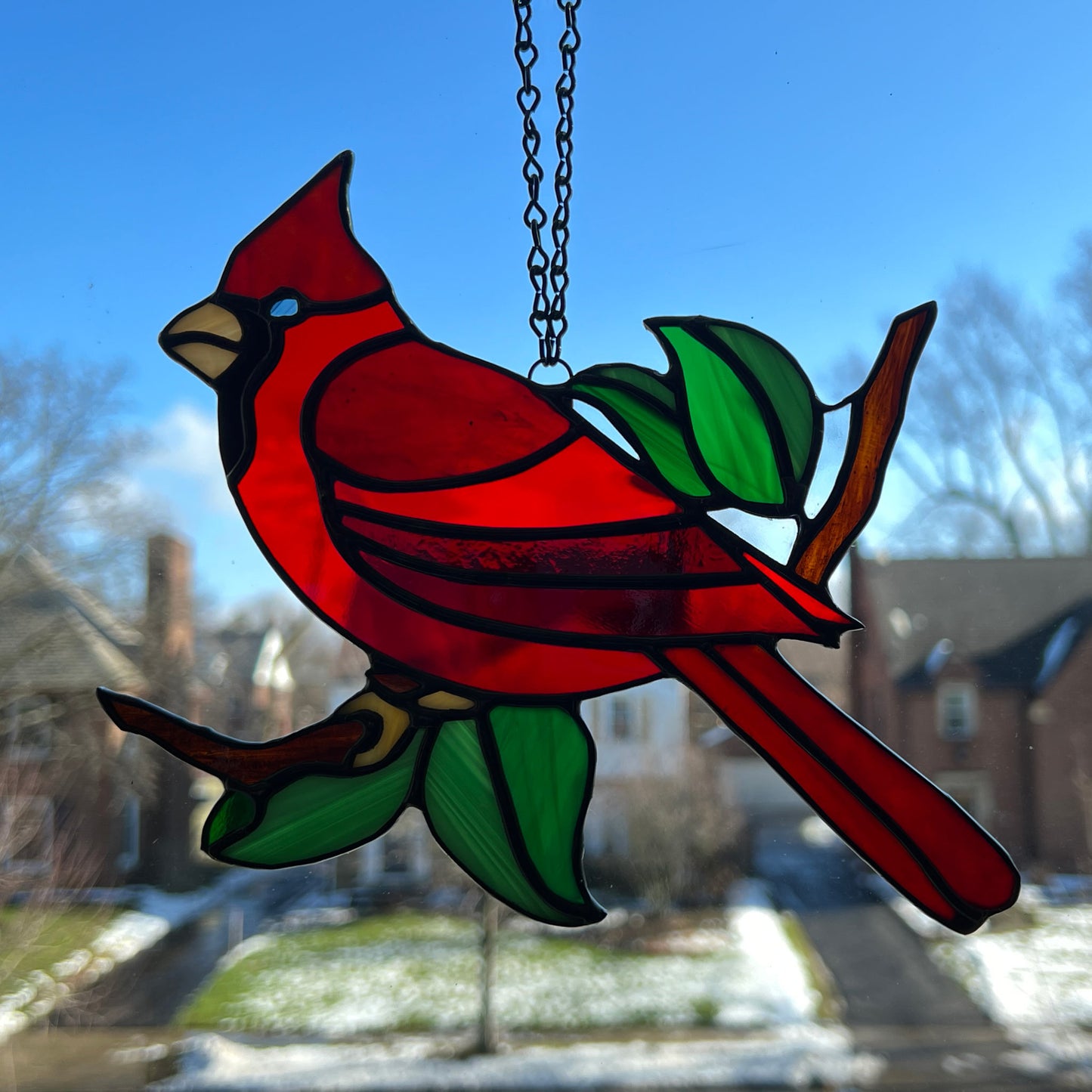 Cardinal Singing in a Tree