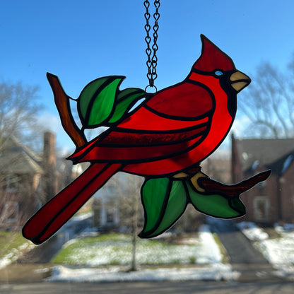 Cardinal Singing in a Tree