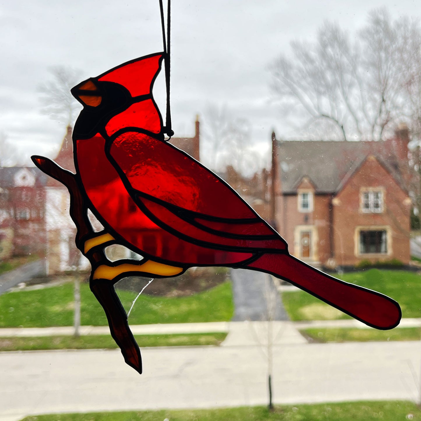 Cardinal Ready to take Flight