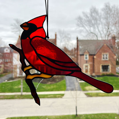 Cardinal Ready to take Flight