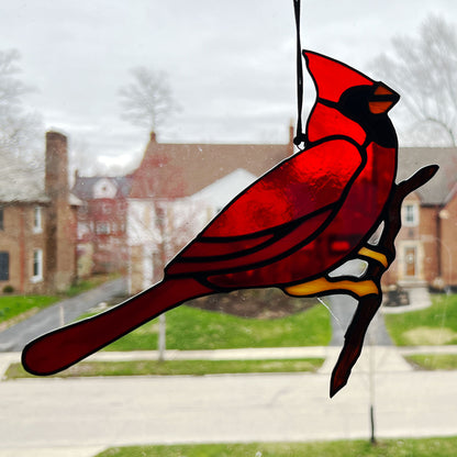 Cardinal Ready to take Flight