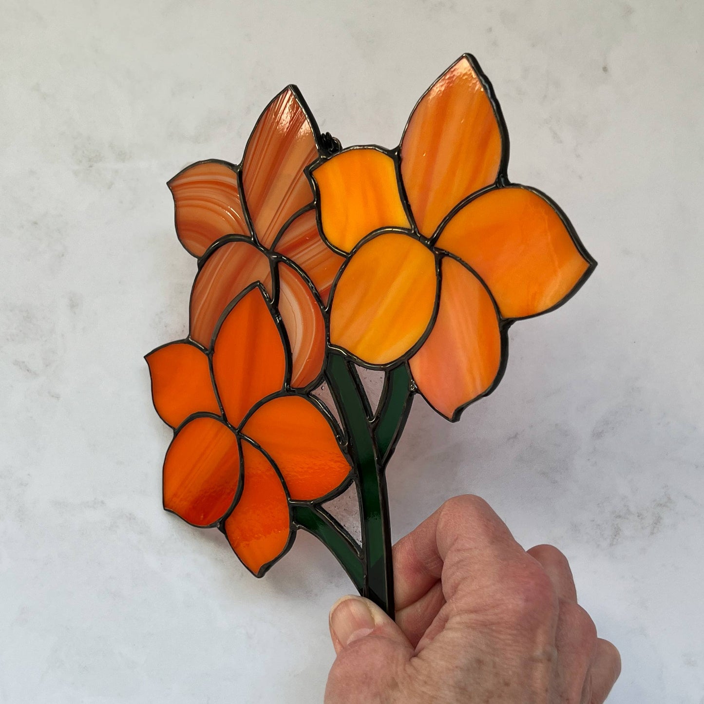 Orange Frangipani Flowers