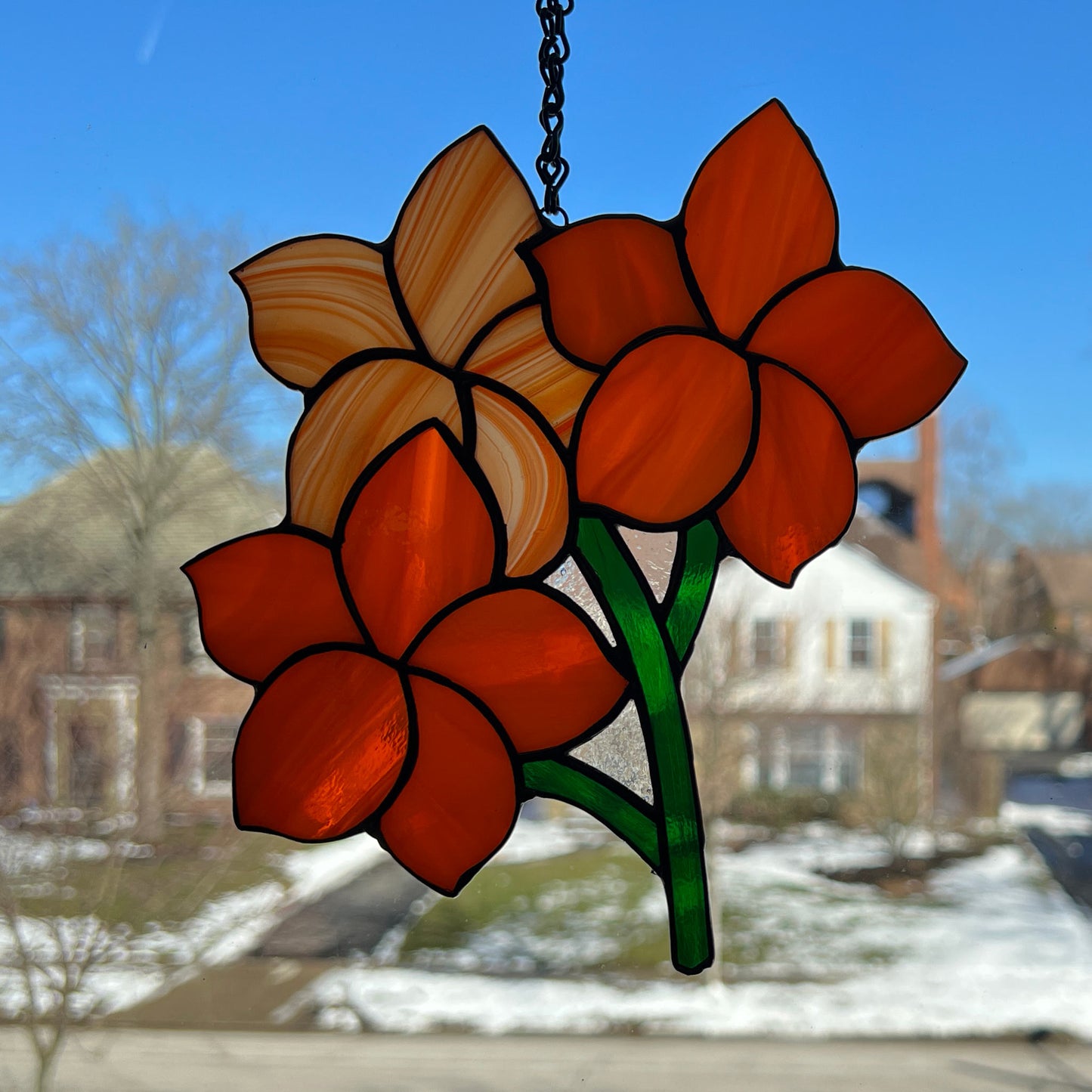 Orange Frangipani Flowers