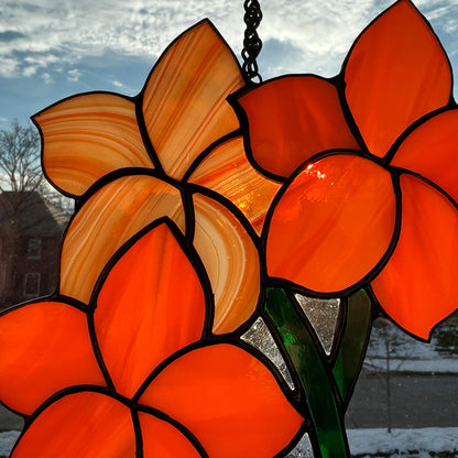 Orange Frangipani Flowers